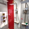 sen-cay-nhiet-do-american-standard-wf-4956cs-wf4956cs-mau-vang - ảnh nhỏ 6