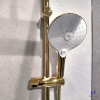 sen-cay-nhiet-do-american-standard-wf-4956cs-wf4956cs-mau-vang - ảnh nhỏ 9