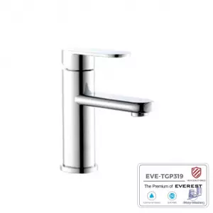 Vòi lavabo mạ chrome EVEREST EVE-TGP319