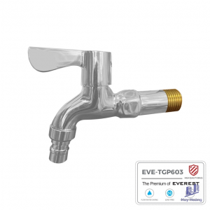 Vòi hồ đồng thau mạ chrome EVEREST EVE-TGP603