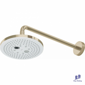 Bát Sen Gắn Tường TOTO TBW01004A#BFG 2 Chế Độ Vàng Pháp Mờ