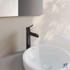 voi-chau-rua-mat-lavabo-viglacera-vg141-1-nong-lanh-co-cao - ảnh nhỏ 18