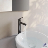 voi-chau-rua-mat-lavabo-viglacera-vg141-1-nong-lanh-co-cao - ảnh nhỏ 30