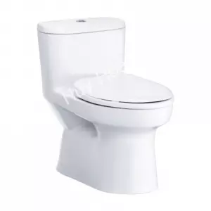 Bồn Cầu COTTO C1015 Một Khối Macc Xả Nhấn