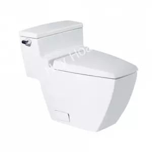 Bồn Cầu COTTO C10187 Một Khối Hercules Xả Gạt