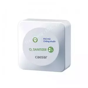 Máy Tạo Ozon Caesar A610OZ