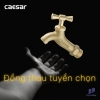 voi-lanh-gan-tuong-caesar-w034-21 - ảnh nhỏ 6