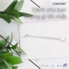 gia-treo-khan-inox-caesar-q991-mot-tang - ảnh nhỏ 8