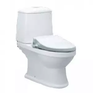 Bàn Cầu Nắp Rửa Cơ CAESAR CD1530/TAF050