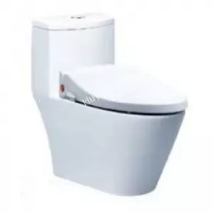 Bồn Cầu Nắp Rửa Cơ CAESAR CD1363/TAF050 1 Khối