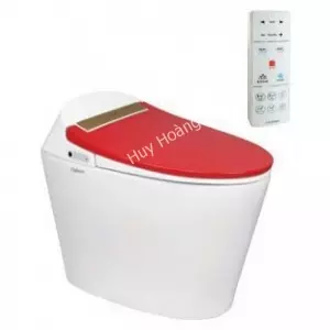 Bồn Cầu Thông Minh Viglacera V94.RW