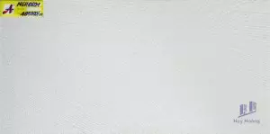 Gạch ốp tường 30x60 NEH6601C