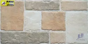 Gạch ốp tường 30x60 JR36020