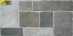 Gạch ốp tường 30x60 JR36021