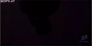 Gạch ốp tường 30x60 3603F8