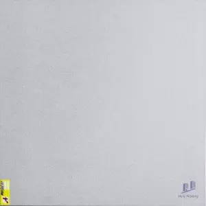 Gạch 80X80 lát nền nhập khẩu FPT816BP