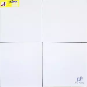 GẠCH BÔNG 20x20 A2001