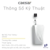 be-tieu-nam-caesar-u0232-treo-tuong - ảnh nhỏ 11