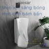 be-tieu-nam-caesar-u0232-treo-tuong - ảnh nhỏ 6