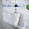 be-tieu-nam-caesar-u0232-treo-tuong - ảnh nhỏ 7