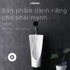 be-tieu-nam-caesar-u0235-treo-tuong - ảnh nhỏ 2