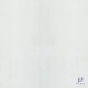 Gạch Taicera 60x60 G68935