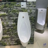 be-tieu-nam-caesar-u0266-treo-tuong - ảnh nhỏ 3