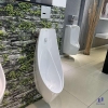 be-tieu-nam-caesar-u0266-treo-tuong - ảnh nhỏ 4