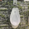 be-tieu-nam-caesar-u0267-treo-tuong - ảnh nhỏ 4