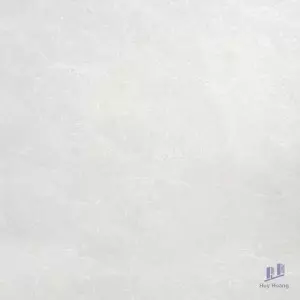 Gạch Taicera 80x80 P87662N