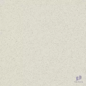 Gạch Taicera 80x80 G88005