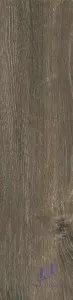 Gạch lát nền Taicera 20x120cm GC200*1200-921