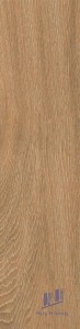 Gạch lát nền Taicera 20x120cm GC200*1200-926
