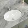 chau-rua-mat-lavabo-viglacera-ca2-am-ban - ảnh nhỏ 4