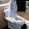 bon-cau-dien-tu-toto-ms889drw16-nap-rua-washlet-tcf23410aaa-c2 - ảnh nhỏ 10