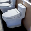 bon-cau-dien-tu-toto-ms889drw16-nap-rua-washlet-tcf23410aaa-c2 - ảnh nhỏ 4