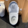 bon-cau-dien-tu-toto-ms625cdw12-nap-washlet-giau-day-c7 - ảnh nhỏ 8