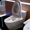 bon-cau-dien-tu-toto-ms625dw11-nap-washlet-tcf4911z-c7 - ảnh nhỏ 12