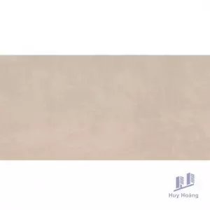 Gạch Vietceramics 30×60 36SR5020B