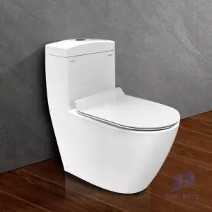 Bồn Cầu Viglacera Platinum P.11.350 Một Khối