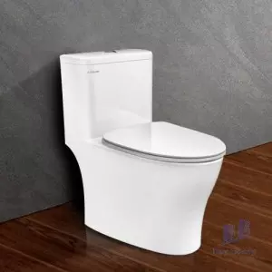 Bồn Cầu Viglacera Platinum P.11.321 Một Khối