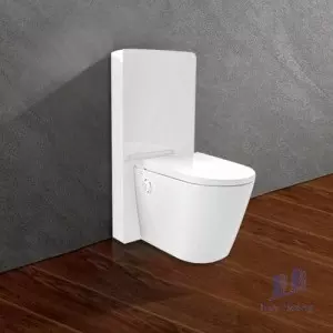 Bồn Cầu Điện Tử Viglacera Platinum P.16.321 Đặt Sàn Kính Trắng