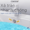 chau-rua-lavabo-caesar-kem-chan-treo-l2365/p2443 - ảnh nhỏ 7