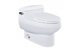 Bồn Cầu, Bệt Vệ Sinh