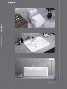 Catalog CAESAR 06-2022